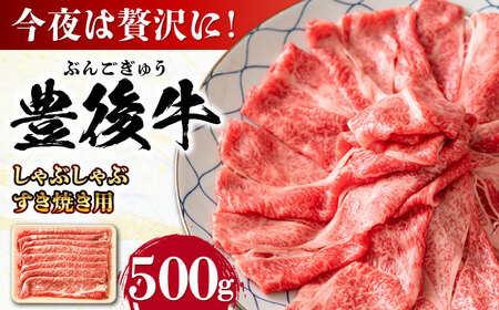 おおいた豊後牛 しゃぶしゃぶすき焼き用 （肩ロース・肩バラ・モモ）500g 日田市 黒毛和牛 牛肉 豊後牛 しゃぶしゃぶ すき焼き  [AREI010]