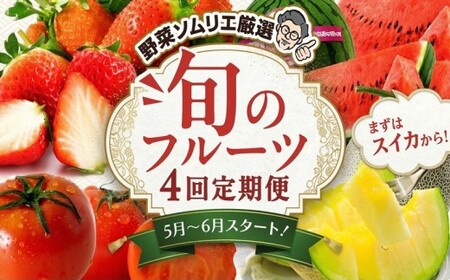 【 野菜ソムリエ 厳選 】 旬 の フルーツ 定期便 ( こだまスイカ スタート ) 4回 先行予約
