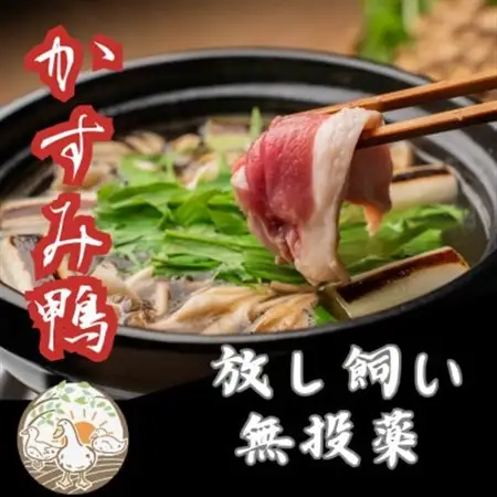 鴨鍋の素2人前  鴨スープ500gと鴨モモ肉1羽分(400～450g)のセット_鴨鍋 鴨スープ 鴨モモ肉 セット_【配送不可地域：離島】【1577229】