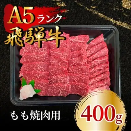 飛騨牛5等級 もも焼肉用400g　FTA197_肉 焼肉 牛肉 やきにく ヤキニク バーベキュー  肉 飛騨牛 牛肉 うし ビーフ_【配送不可地域：離島】【1578225】
