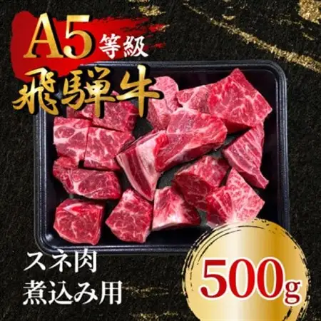 飛騨牛5等級 スネ肉煮込み用500g　FTA281_肉 飛騨牛 牛肉 うし ビーフ_【配送不可地域：離島】【1578292】