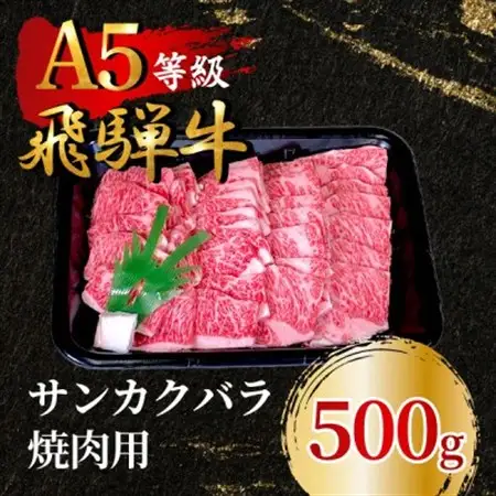 飛騨牛5等級 サンカクバラ焼肉用500g　FTA284_肉 焼肉 牛肉 やきにく ヤキニク バーベキュー  肉 飛騨牛 牛肉 うし ビーフ_【配送不可地域：離島】【1578300】