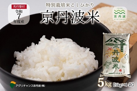特別栽培米 こしひかり 京丹波町産 5kg 令和7年産【米 白米 新米 お米】[012AGC001]