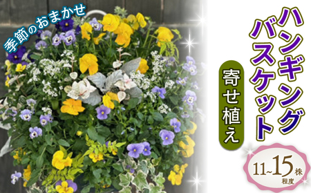 花 寄植え バスケット 季節の花　植物