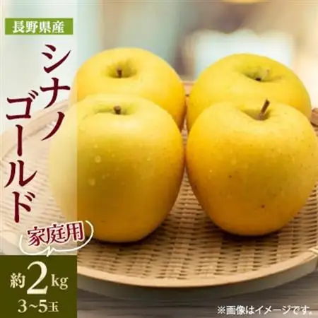 【家庭用】 長野県産 りんご シナノゴールド 約2kg(3～5玉程度)【1577423】