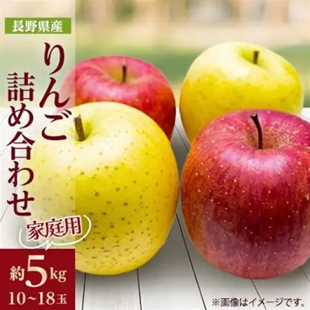 家庭用 りんご サンふじ＆シナノゴールド 詰め合わせ 約5kg(10～18玉程度)【1577937】