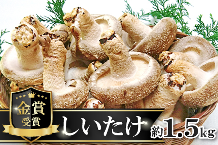 菌床しいたけ　かご入り