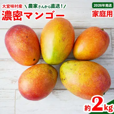 マンゴー【2026年発送】ご家庭用！濃密マンゴー《家庭用・約2kg》
