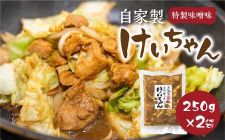 白川郷 自家製 けいちゃん 250g×2袋セット 鶏肉 味付け肉 味噌味 焼肉店オリジナル 簡単おかず 冷凍 味付き 郷土料理 白川村 てんから アウトドア BBQ 6000円  [S913]