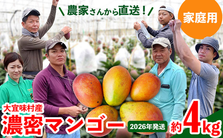 マンゴー【2026年発送】ご家庭用！濃密マンゴー《家庭用・約4kg》