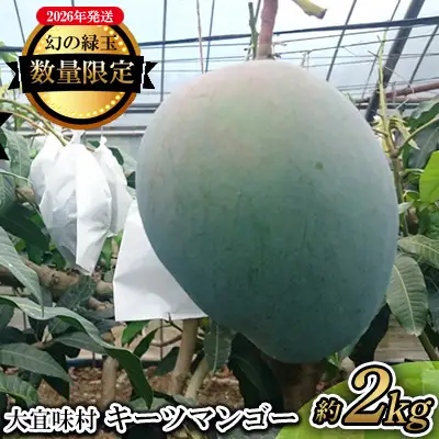 【2026年発送】大宜味村キーツマンゴー約2kg【数量限定】