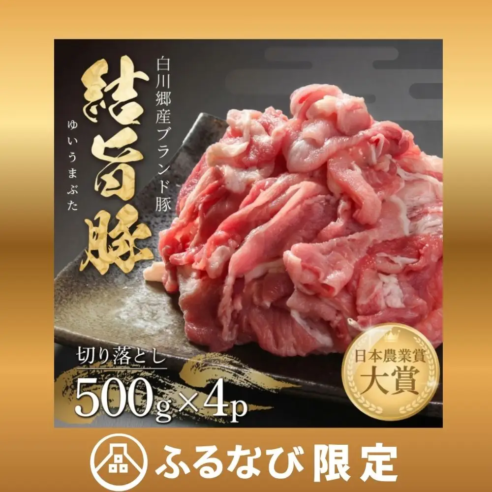 【ふるなび限定】2kg 豚肉 切落とし 500g×4p 豚肉 飛騨高山ミート MS010  FN-Limited-PR