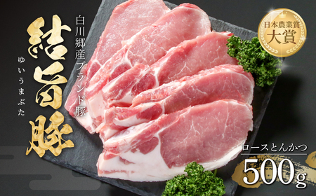結旨豚 ロース とんかつ 500g 冷凍真空パック | 肉 お肉 豚肉 国産 白川郷 岐阜県 白川村 ブランド豚 人気 おすすめ ギフト 8000円 飛騨高山ミート [MS002]