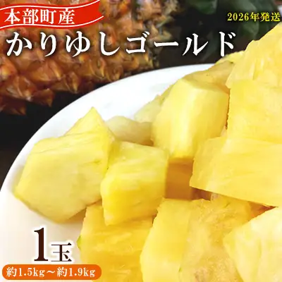 パイン【2026年発送】先行予約 かりゆしゴールド 1玉（約1.5kg～1.9kg） パイナップル