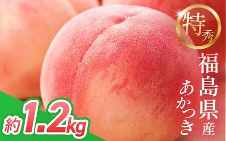 桃 あかつき 約1.2kg 桃 2026年出荷分 F21C-047