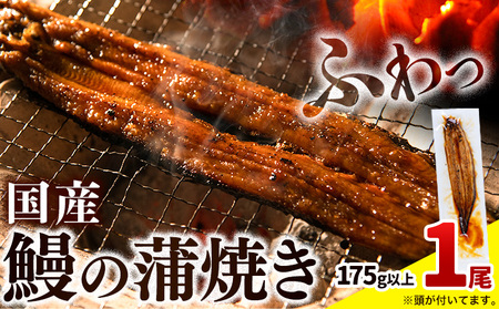 【最短3日発送】 うなぎ 蒲焼き 175g×1尾｜鰻