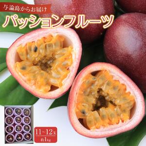 【2026年6月中旬以降発送】与論島産パッションフルーツ11～12玉　約1ｋｇ | パッションフルーツ