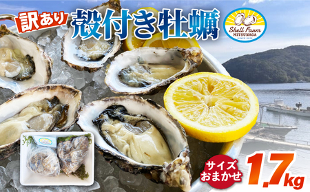 冷蔵牡蠣殻付き1.7kg 牡蠣[サイズおまかせ]