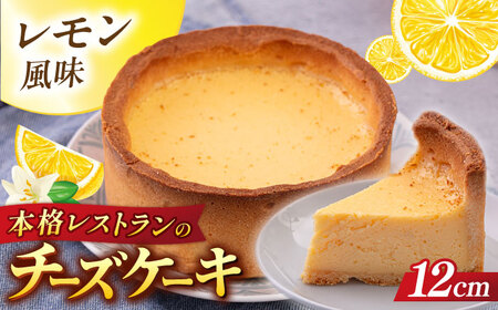 チーズケーキ 4号（12cm) 2~3人分【日本水産観光株式会社】[AKBR007]