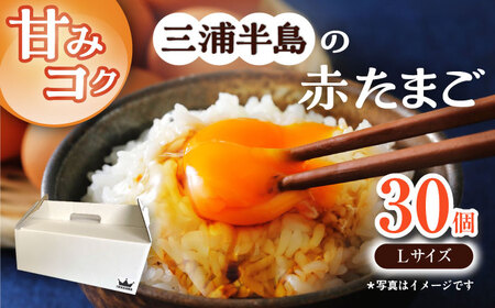 餌にこだわった三浦半島産赤たまご　30個　【横須賀商工会議所　おもてなしギフト事務局（岩沢ポートリー）】[AKET004]