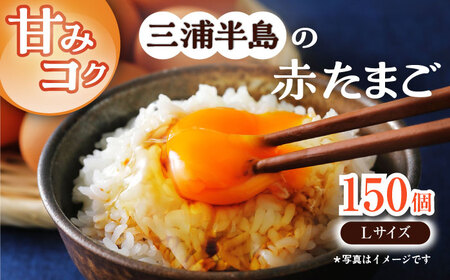 餌にこだわった三浦半島産赤たまご　Lサイズ10kg（約150個）　【横須賀商工会議所　おもてなしギフト事務局（岩沢ポートリー）】[AKET006]