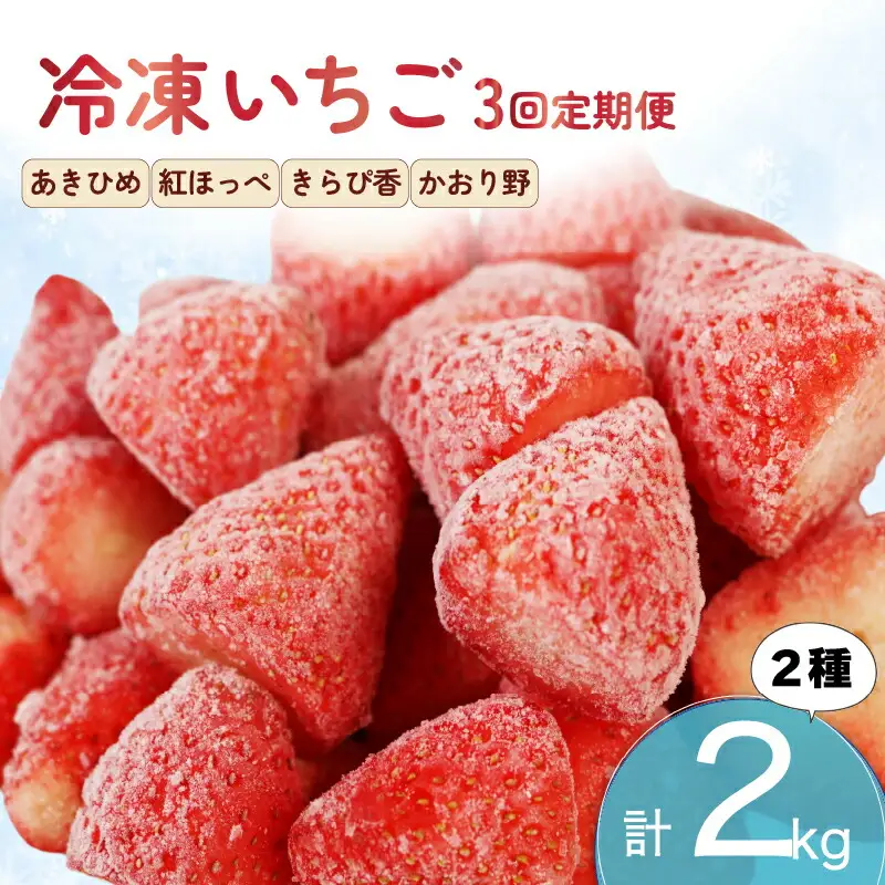 いちご 冷凍 3ヶ月 定期便 計2kg  いちご