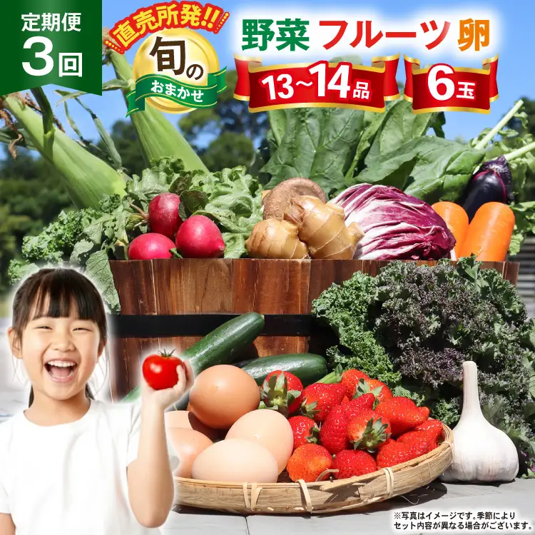 CD158 【3回定期便】 野菜 フルーツ 13～14種 卵 6玉 旬のおまかせセット [ 長崎県 島原市 ]