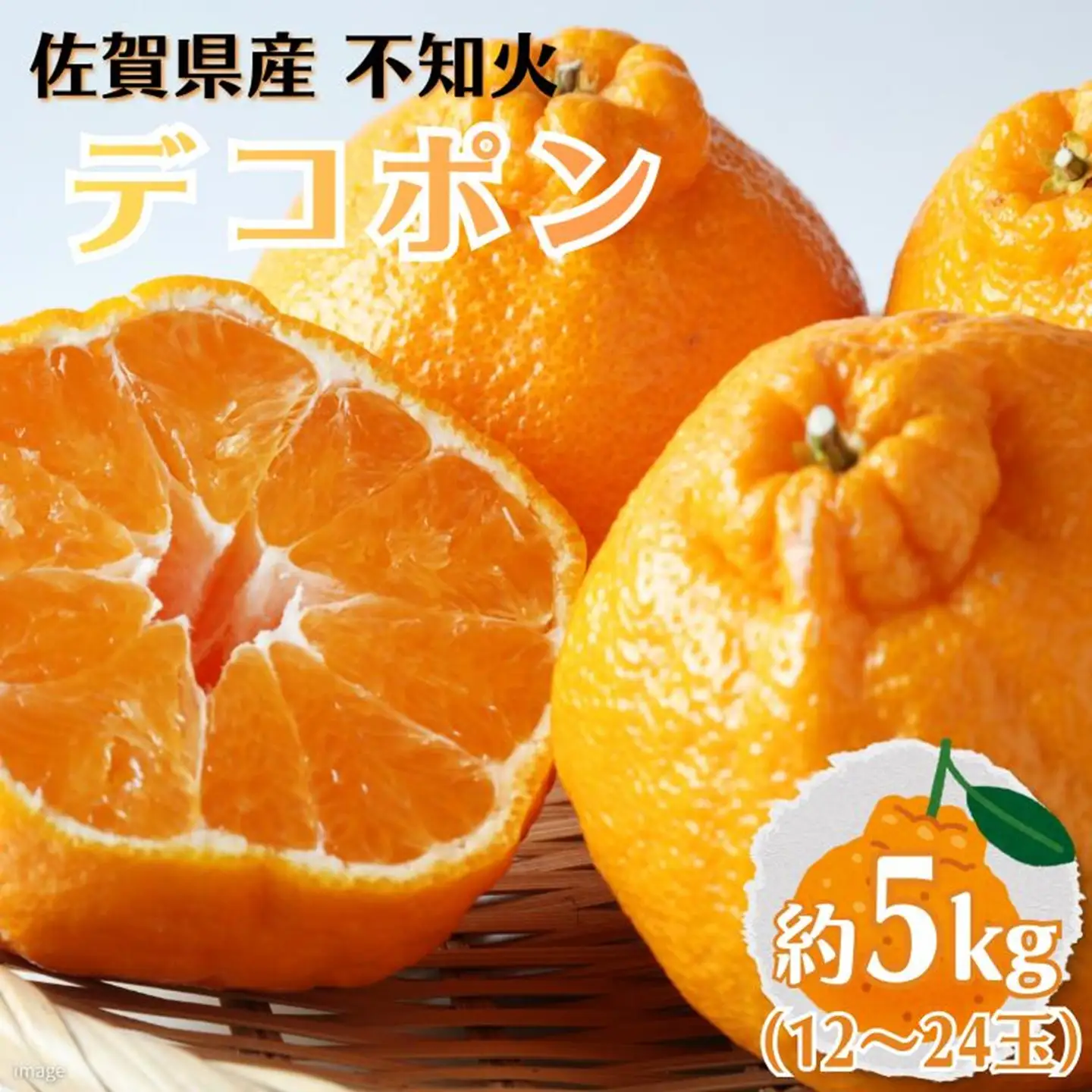 デコポン 佐賀みかん デコポン不知火 B195-006