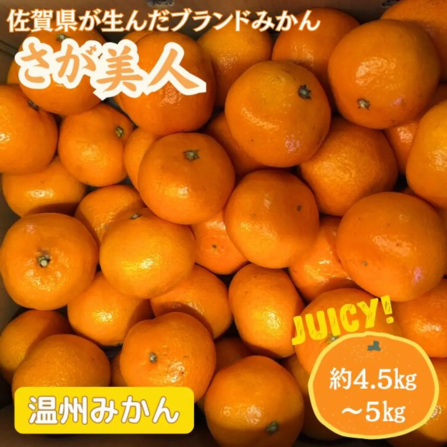 佐賀みかん さが美人 フルーツ 果物 期間限定 みかん ブランドみかん 温州みかん 贈答 贈り物 お歳暮 ダイニング佐賀：B175-009