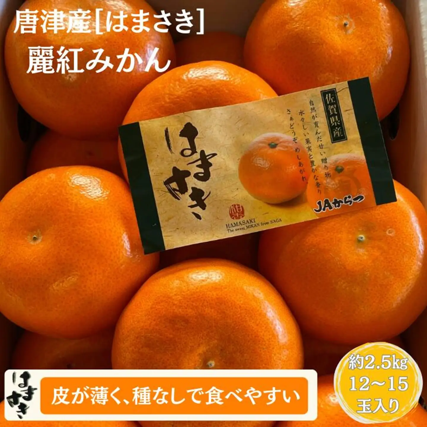 【先行予約】佐賀みかん 唐津産【はまさき】麗紅みかん 佐賀県 佐賀市 さがみかん ブランドみかん タンゴール 種なし 佐賀みかん 化粧箱入り 贈答 贈り物 お歳暮 フルーツ 果物 柑橘 ダイニング佐賀：B210-021
