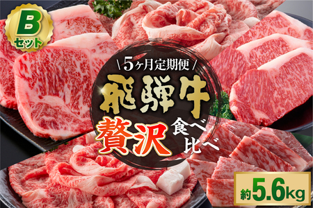 【定期便】『飛騨牛』贅沢食べ比べセットB※5回に分けてのお届けとなります。（サーロインステーキ1,080g・ロースすき焼き用1,200g・ロースしゃぶしゃぶ用1,200g・ロース焼肉用1,200g・ヒレステーキ960g）【0016-100】岐阜県 可児市 サーロイン ステーキ ロース すき焼き しゃぶしゃぶ 焼肉 ヒレステーキ A5等級 ブランド牛 和牛 ソース付き お取り寄せ グルメ