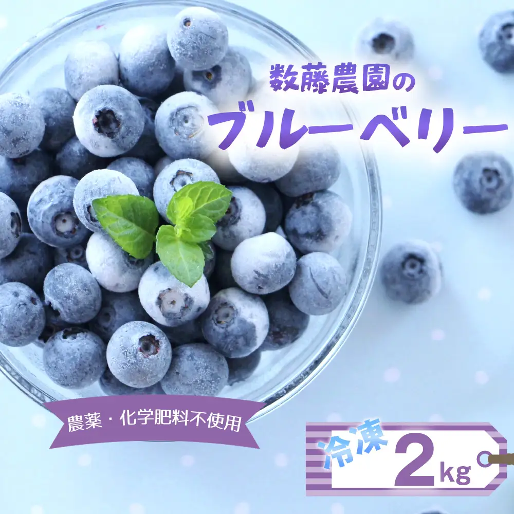 冷凍ブルーベリー 2kg 農薬・化学肥料不使用 ／ ブルーベリー フルーツ 完熟 大粒 冷凍 果物 国産 産地直送 無添加 スイーツ ヨーグルト トッピング ジャム スムージー おやつ 旬 千葉県 No.322