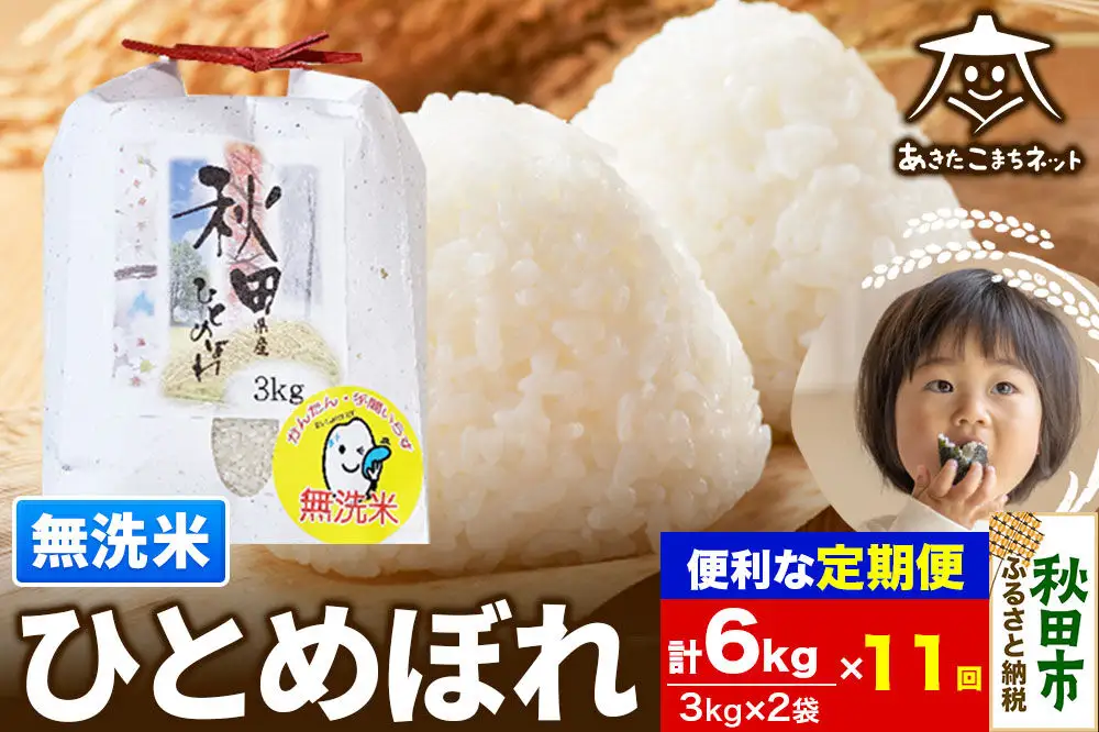 《定期便11ヶ月》ひとめぼれ 6kg(3kg×2袋) 【無洗米】 秋田市産