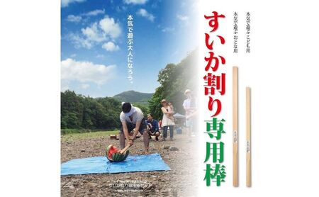 日本すいか割り推進協会公認「すいか割り専用棒」 HNNM006