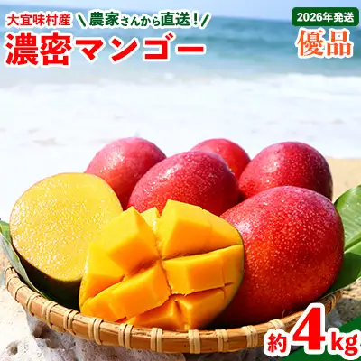 マンゴー【2026年発送】濃密マンゴー《優品・約4kg》