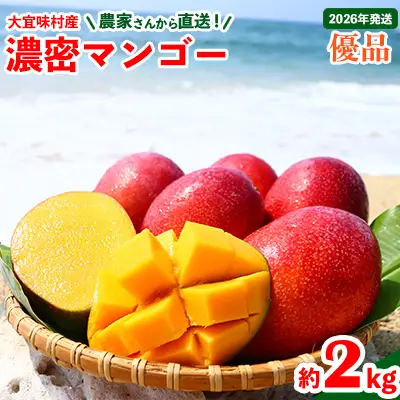 マンゴー【2026年発送】濃密マンゴー《優品・約2kg》
