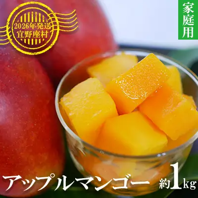 マンゴー 拠点産地【2026年発送】「宜野座村」家庭用アップルマンゴー（約1kg）