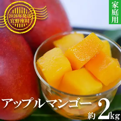 マンゴー 拠点産地【2026年発送】「宜野座村」家庭用アップルマンゴー（約2kg）