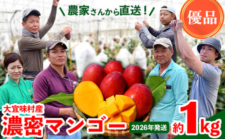マンゴー【2026年発送】濃密マンゴー《優品・約1kg》