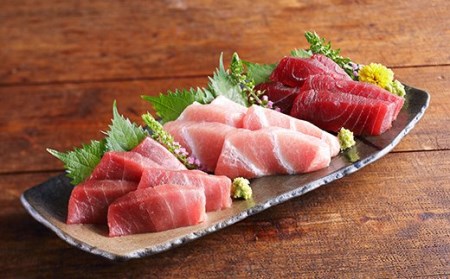 （全5回配送）天然！三崎まぐろ大トロ・中トロ・赤身 お刺身定期便 M005-T02 冷凍 マグロ 定期便