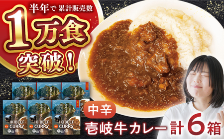 【お中元】壱岐牛カレー中辛づくし《壱岐市》【壱岐フードファクトリー】常温配送 カレー ご当地カレー レトルト 簡単調理 [JDW041]