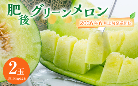 熊本県産 肥後グリーンメロン 2玉 果物 フルーツ メロン【2026年6月上旬～6月下旬迄順次発送予定】