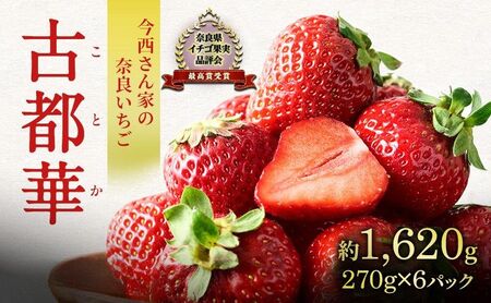 先行予約 いちご 奈良県産 古都華 約1620g 270g×6パック 今西さん家の奈良いちご 冷蔵配送 ことか フルーツ 果物 旬 糖度 産地直送 農家直送 お取り寄せ おやつ デザート 苺 冷蔵  奈良 大和郡山市 BN001