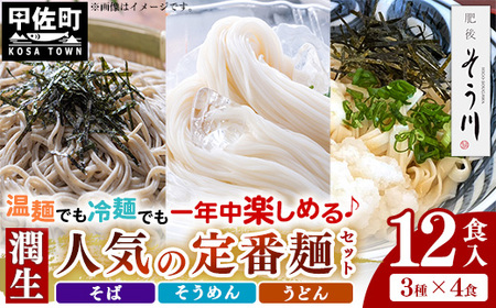 潤生「人気の定番麺」セット12食入り - うどん そば そうめん 饂飩 蕎麦 素麺 麺類 国産 九州産 小麦 つゆ付 国産小麦 手延べ てのべ 潤い 早茹で 再熟成 こだわり もっちり食感 簡単 煮込むだけ 常温保存可能 人気 おすすめ 熊本県 甲佐町 肥後そう川