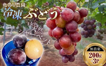 【先行予約】「冷凍ぶどう」200g×3パック（600g） フルーツ ぶどう 葡萄 ブドウ 山口県 山陽小野田市 ふるさと納税 F6L-1074