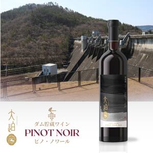 「早池峰の恵み」モリタワイン ダム貯蔵ワイン ピノ・ノワール2017　720ml×1本 【2103】