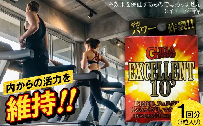 サプリ GIGA POWER EXCELLENT 10' 3粒 サプリ BLAX007