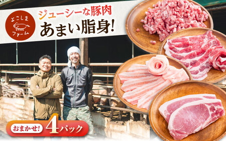 豚肉 うつみ潮風豚 精肉おまかせ4パックセット（1P/180g-280g）[BABT002] 豚肉
