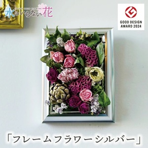 SL0242　壁に飾るフリーズドライフラワー「フレームフラワー　シルバー」水のいらない花　ゼロフラワー