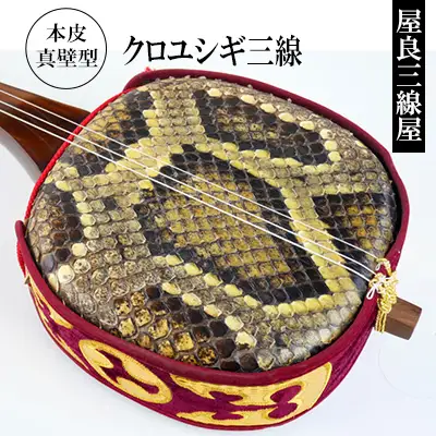 三線　「屋良三線屋」の沖縄産クロユシギ三線